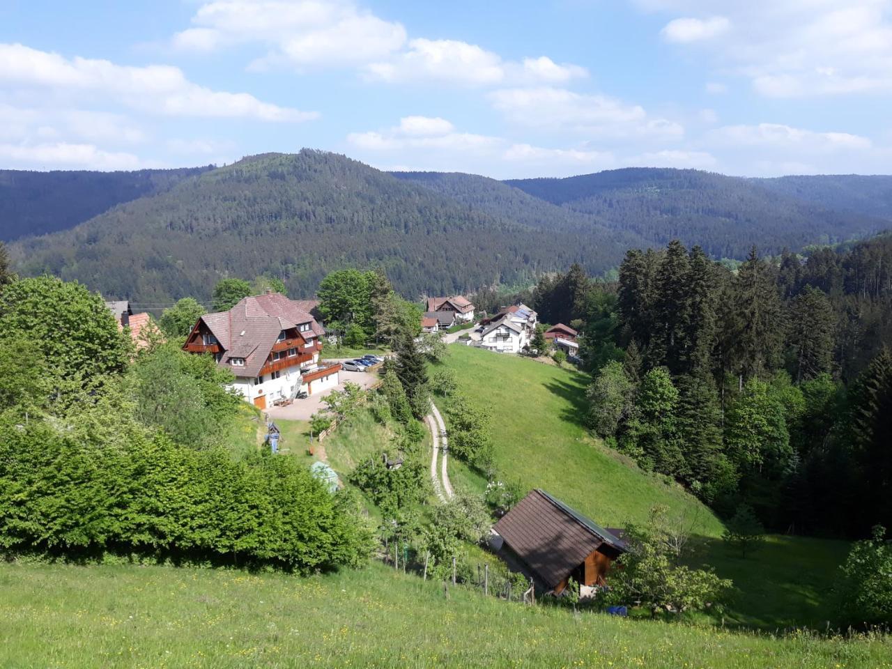 Hotel Landhaus Waldeshöhe Baiersbronn Exterior foto